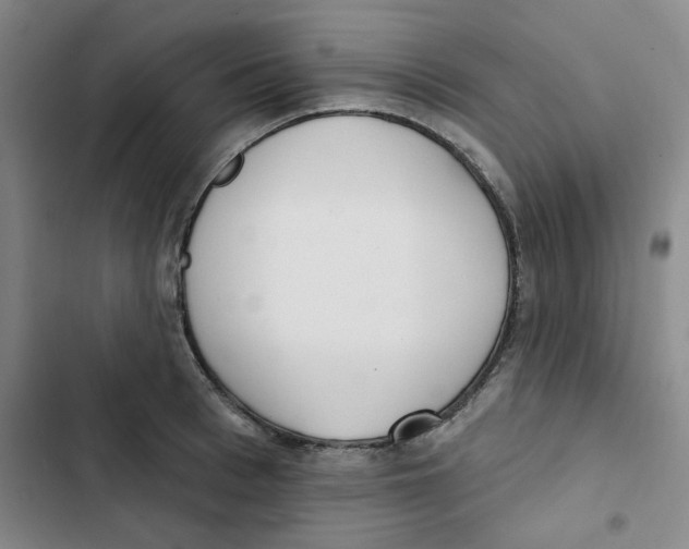 X0000102870993200809151231