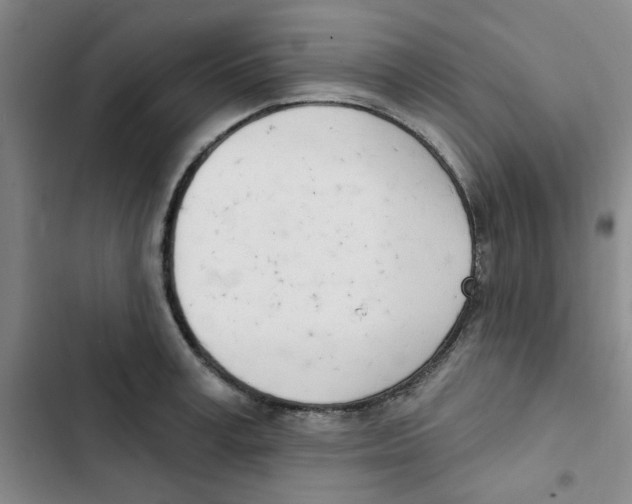 X0000102870995200809151231