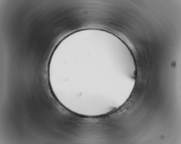 X0000102870996200809151231