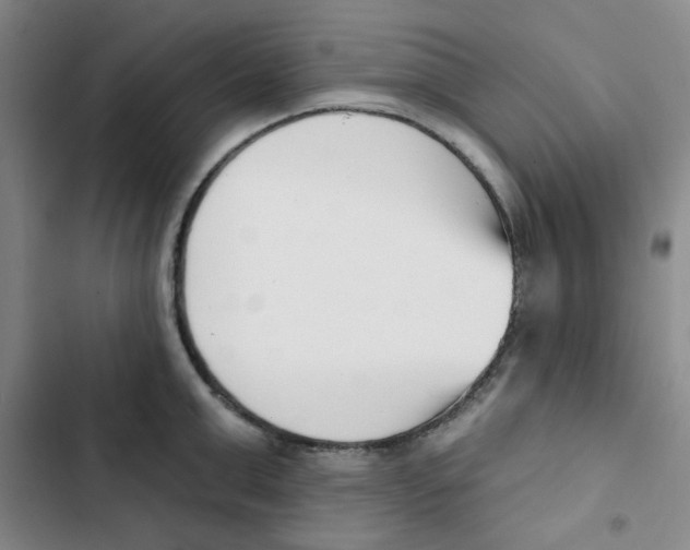 X0000102870999200809151231