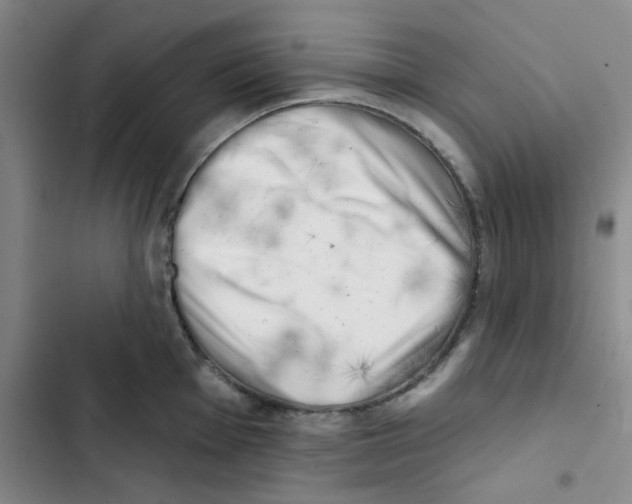 X0000102871001200809151231