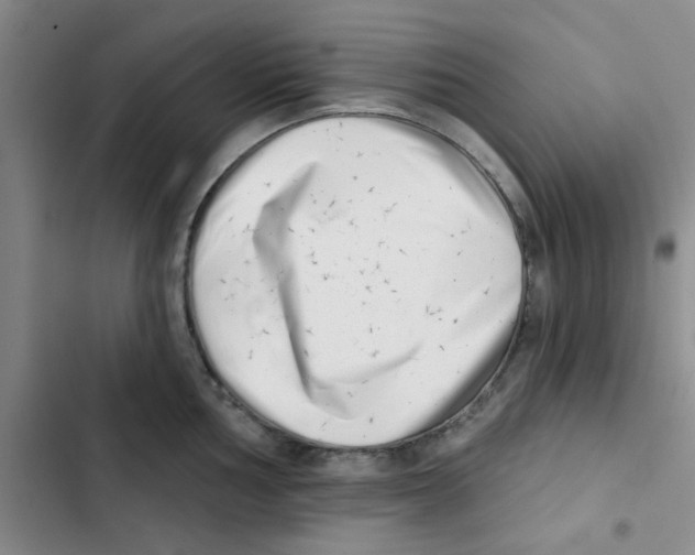 X0000102871002200809151231