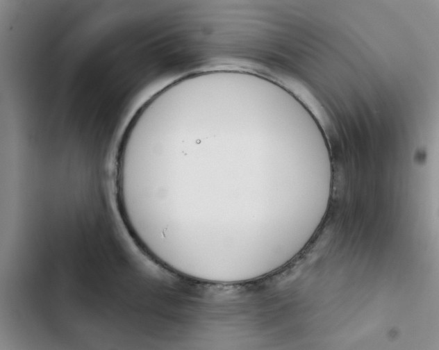 X0000102871003200809151230