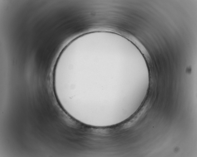 X0000102871004200809151230