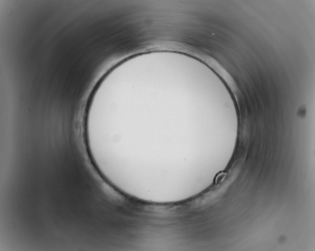 X0000102871005200809151230