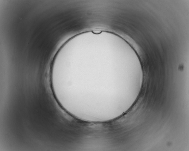 X0000102871006200809151230