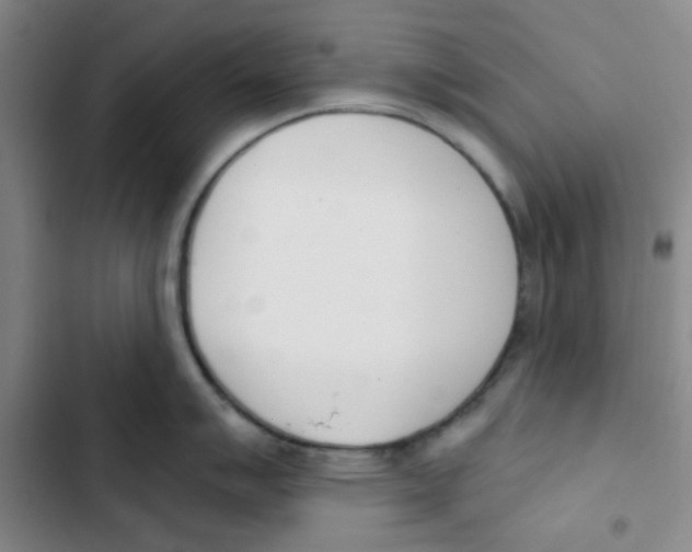 X0000102871007200809151230