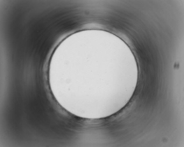 X0000102871008200809151230