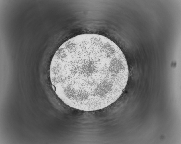 X0000102871009200809151230