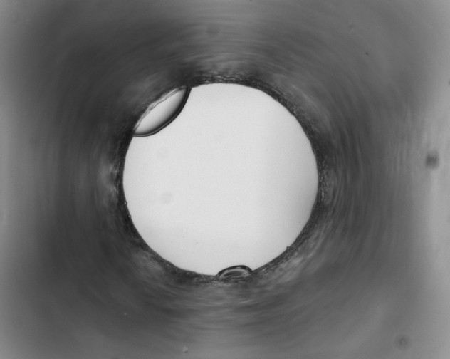 X0000102871010200809151230