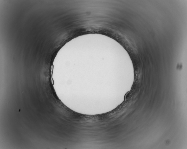 X0000102871012200809151230