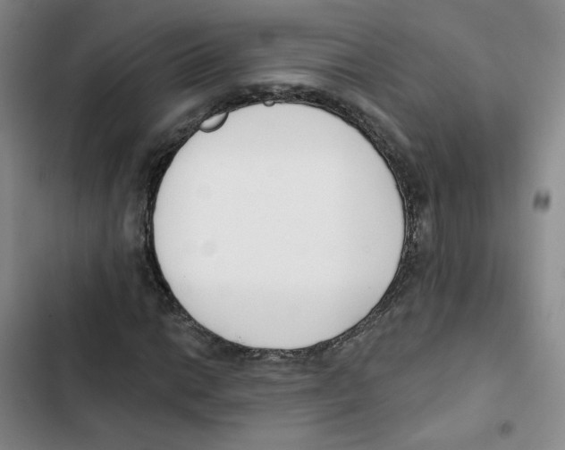 X0000102871014200809151230