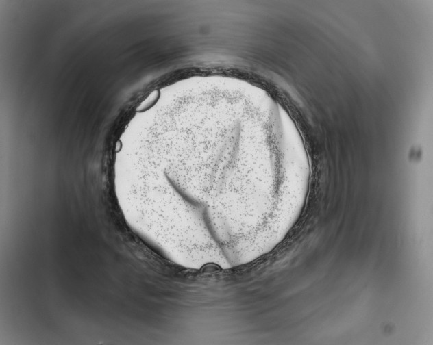 X0000102871016200809151230