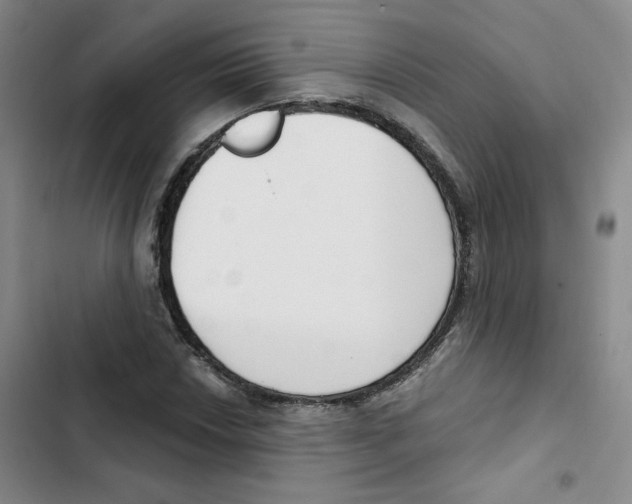 X0000102871018200809151230