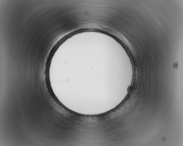 X0000102871020200809151230