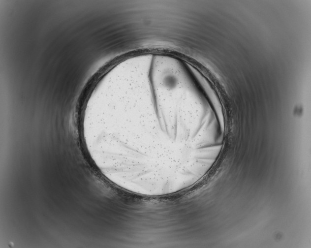 X0000102871022200809151230