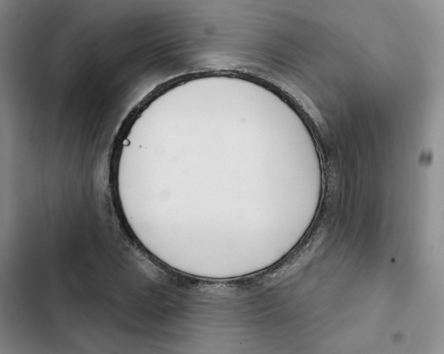 X0000102871023200809151230