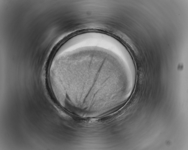 X0000102871024200809151230