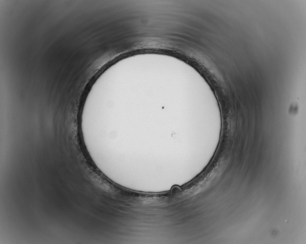 X0000102871025200809151230