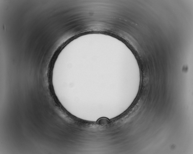 X0000102871026200809151230