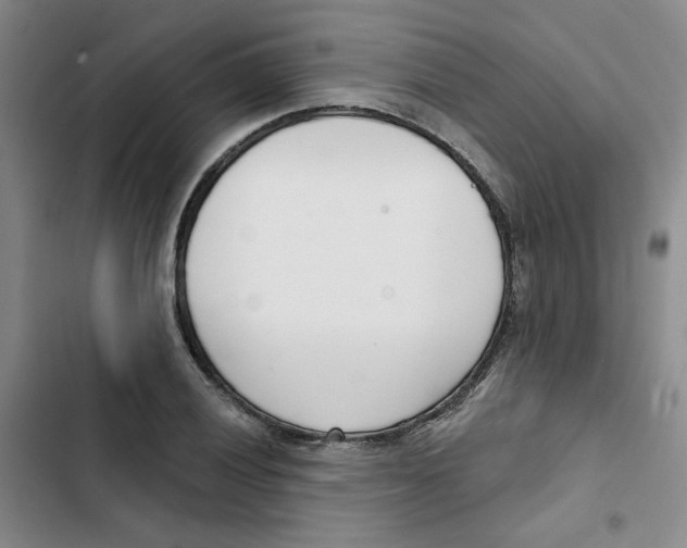 X0000102871028200809151230