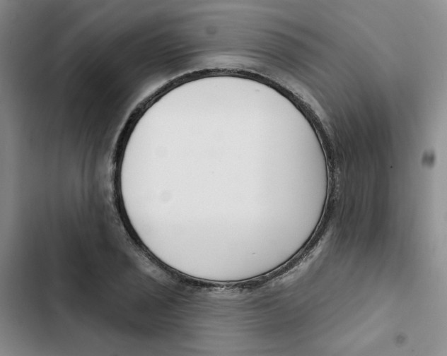 X0000102871029200809151230