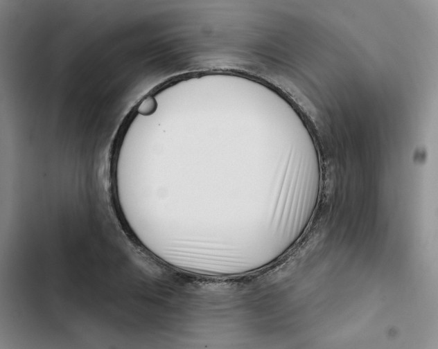 X0000102871031200809151230