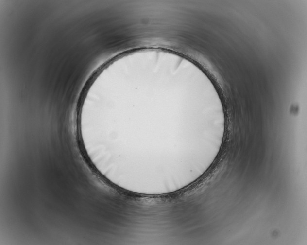 X0000102871032200809151230