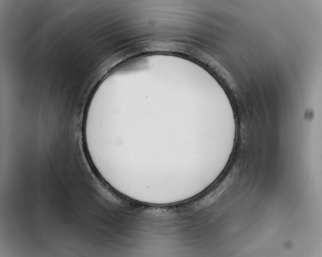 X0000102871033200809151230