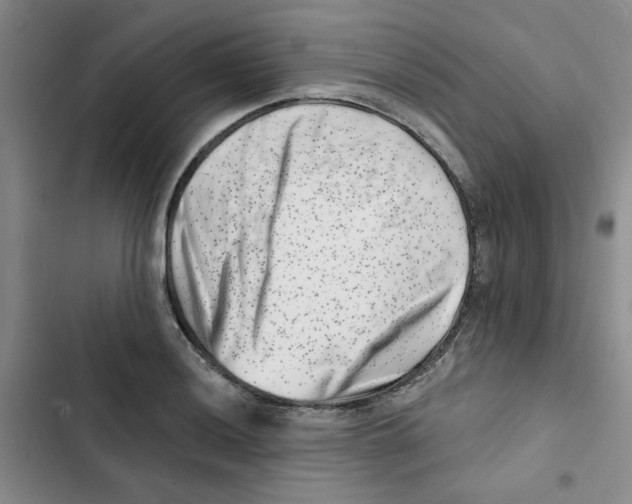 X0000102871036200809151230