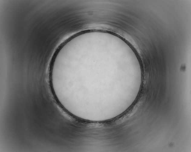 X0000102871037200809151230