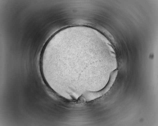 X0000102871039200809151230