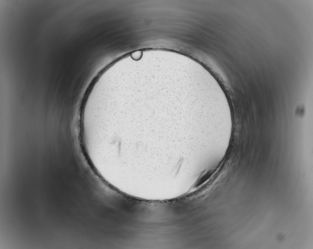 X0000102871040200809151230