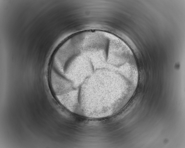 X0000102871043200809151230