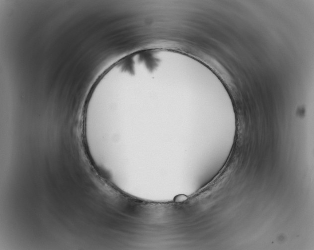 X0000102871044200809151230