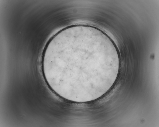 X0000102871045200809151230