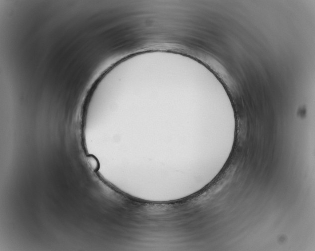 X0000102871046200809151230