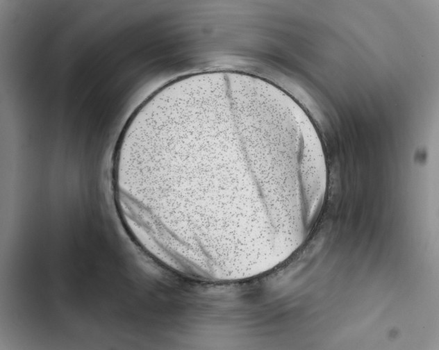 X0000102871047200809151230