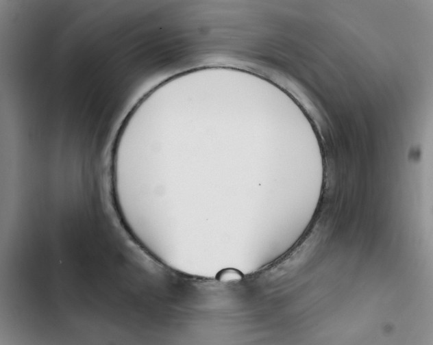 X0000102871048200809151230