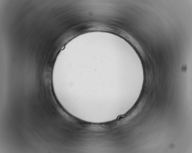 X0000102871049200809151230