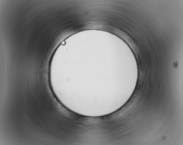 X0000102871050200809151230