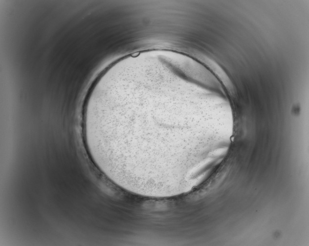 X0000102871051200809151230