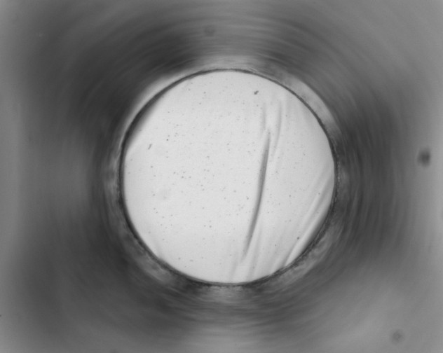 X0000102871052200809151230