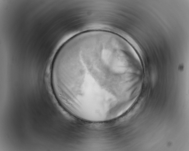 X0000102871053200809151230