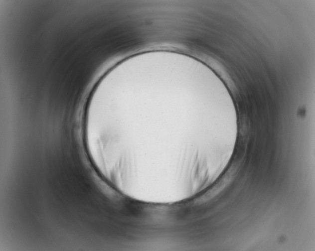 X0000102871054200809151230