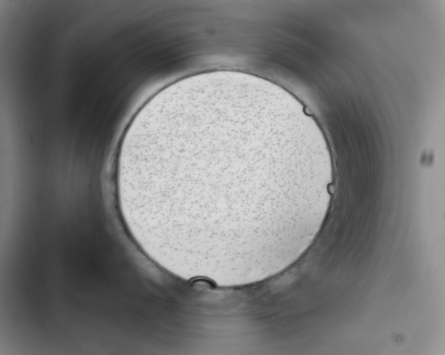 X0000102871056200809151230