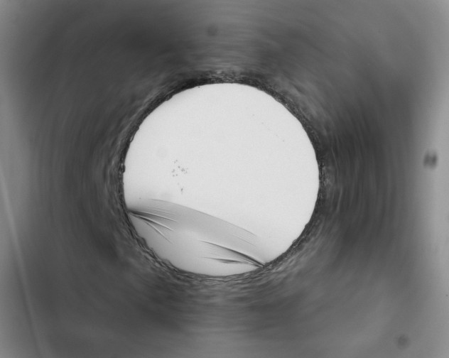 X0000102871057200809151230
