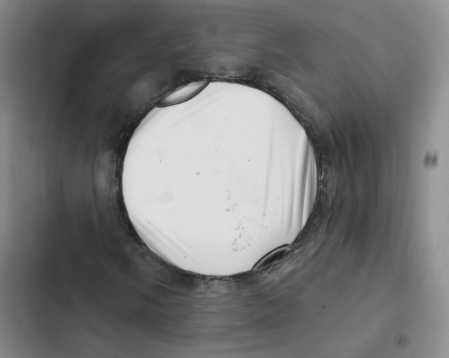 X0000102871058200809151230