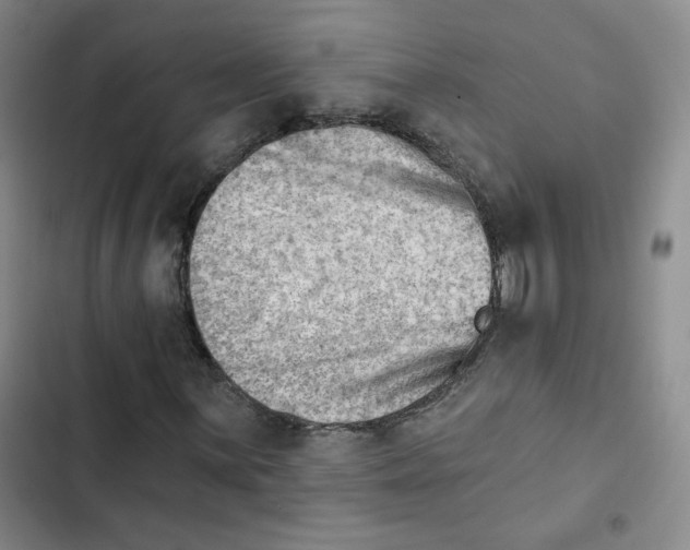 X0000102871059200809151230