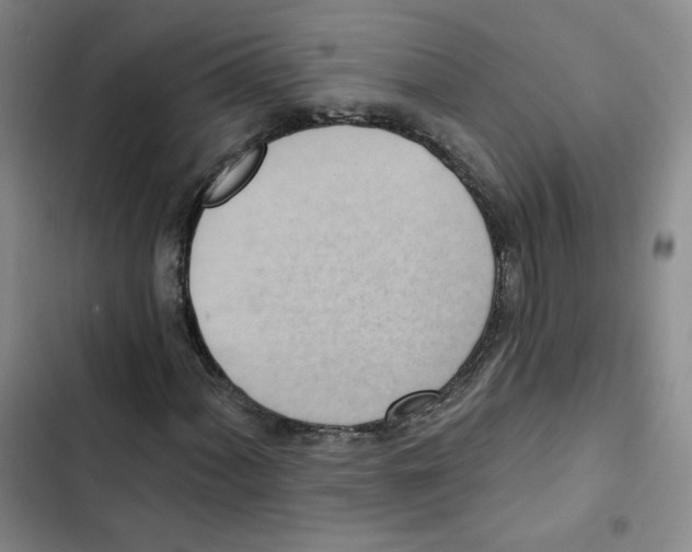 X0000102871060200809151230